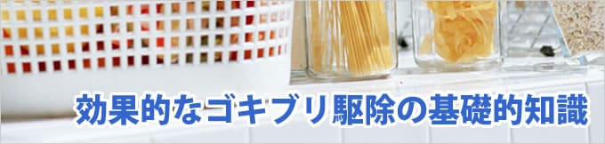 効果的なゴキブリ駆除の基礎的知識